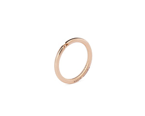 4g segment ring