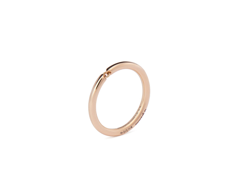 4g segment ring