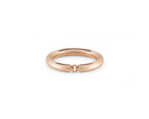 ring segment la 9g